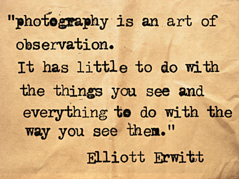Photography is an art of observation. It has little to do with the things you see and everything to do with the way you see them. - Elliot Erwitt
